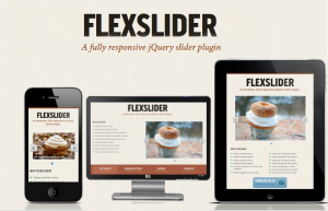 jquery-slider-plugin-flex-slider-responsive-jquery-content-slider-FlexSlider