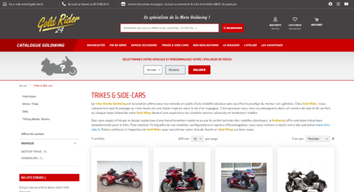 Trikes Honda Goldwing Vente Montage et Homologation Gold Rider